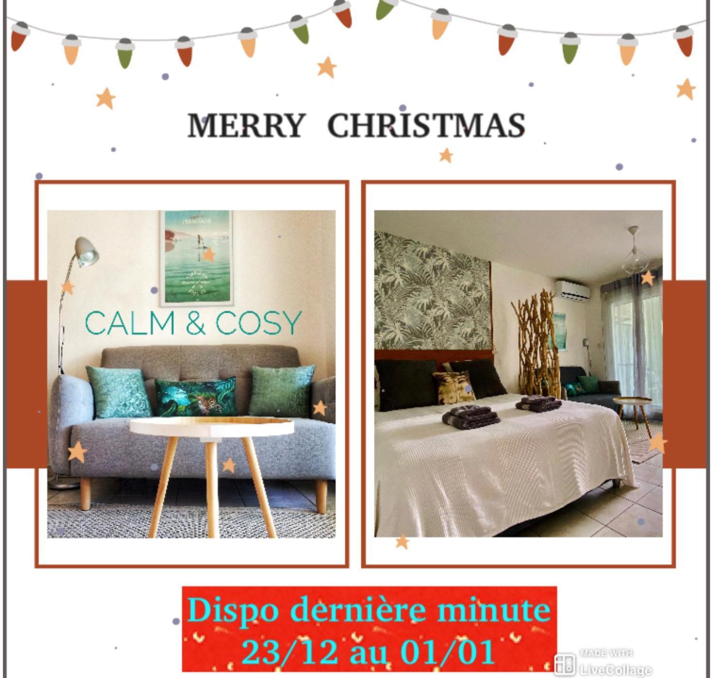 Calm & Cosy, Magnifique T1 Proche Chu Lejlighed Saint Pierre Værelse billede