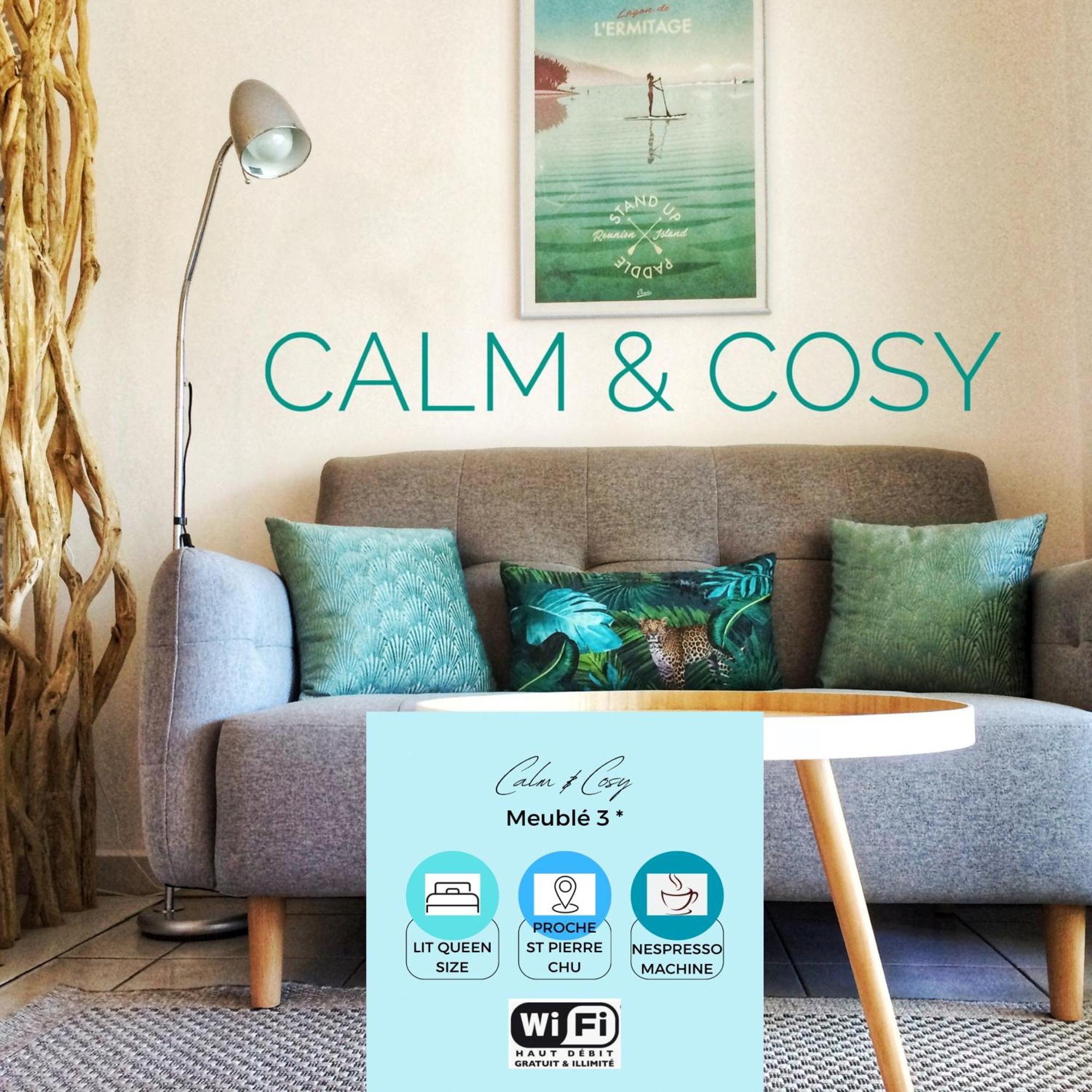 Calm & Cosy, Magnifique T1 Proche Chu Lejlighed Saint Pierre Eksteriør billede